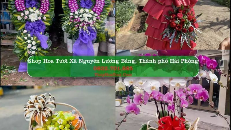 Shop Hoa Tươi Xã Nguyễn Lương Bằng - Thành phố Hải Phòng