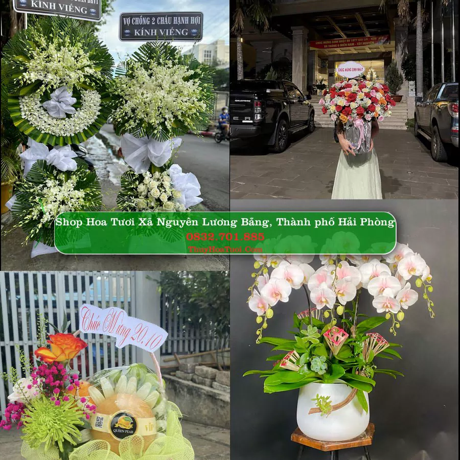 Shop hoa tươi Xã Nguyễn Lương Bằng, Thành phố Hải Phòng - ThuyHoaTuoi.Com giao hoa tận nơi
