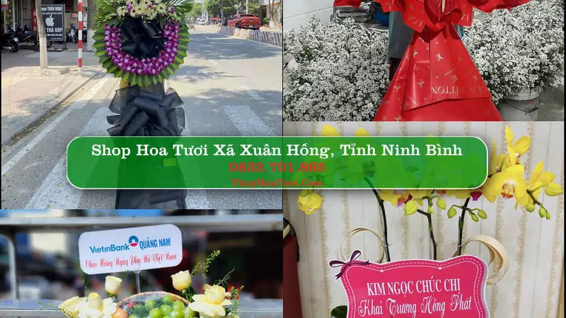 Shop Hoa Tươi Xã Xuân Hồng - Tỉnh Ninh Bình