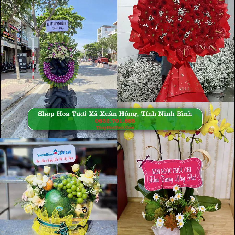 Shop Hoa Tươi Xã Xuân Hồng - Tỉnh Ninh Bình