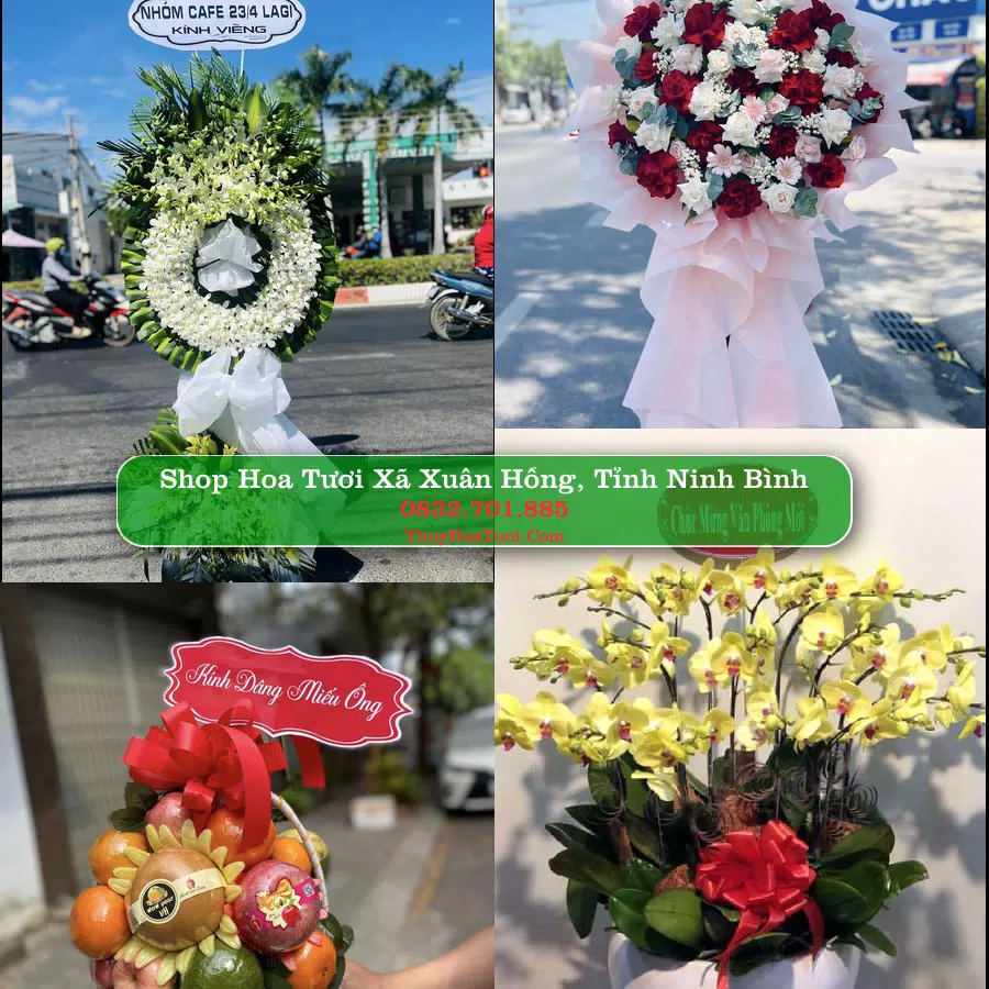 Shop hoa tươi Xã Xuân Hồng, Tỉnh Ninh Bình - ThuyHoaTuoi.Com giao hoa tận nơi