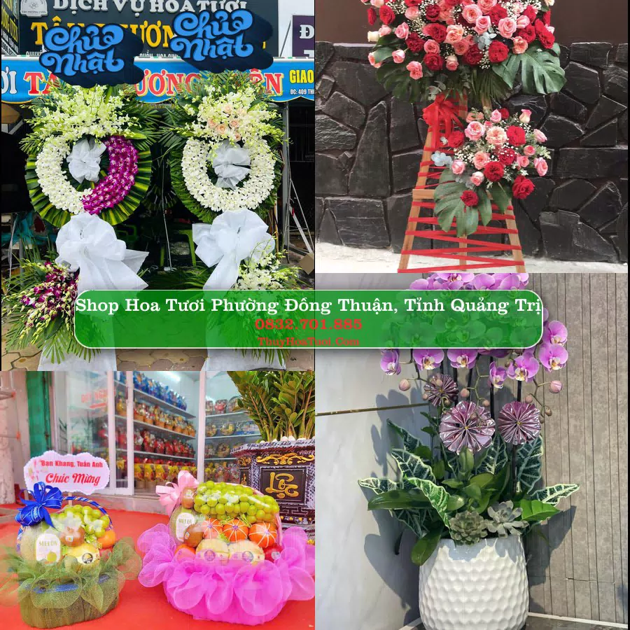 Shop Hoa Tươi Phường Đồng Thuận - Tỉnh Quảng Trị