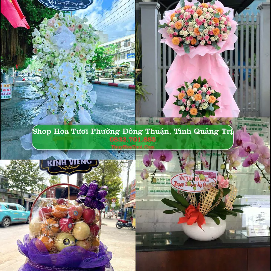 Shop hoa tươi Phường Đồng Thuận, Tỉnh Quảng Trị - ThuyHoaTuoi.Com giao hoa tận nơi