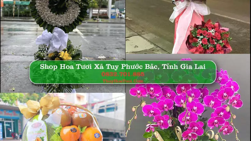 Shop Hoa Tươi Xã Tuy Phước Bắc - Tỉnh Gia Lai