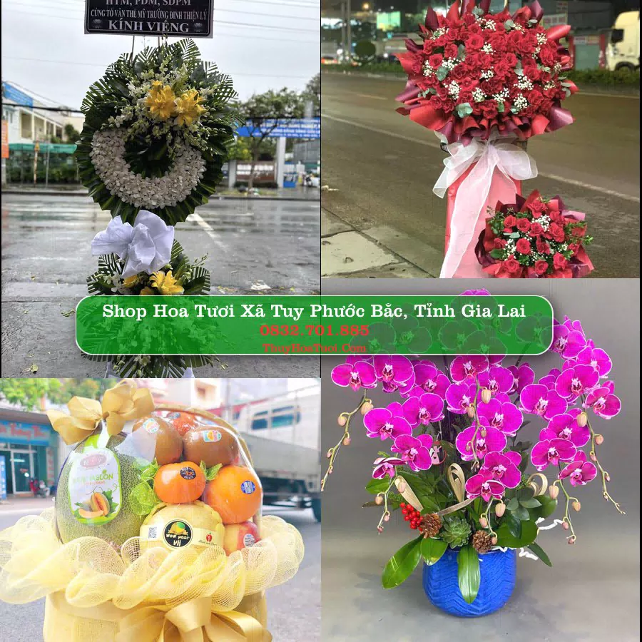 Shop Hoa Tươi Xã Tuy Phước Bắc - Tỉnh Gia Lai