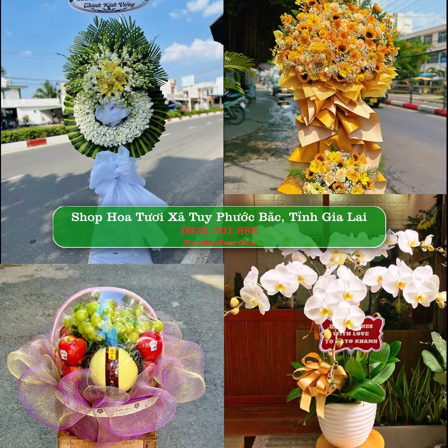 Shop hoa tươi Xã Tuy Phước Bắc, Tỉnh Gia Lai - ThuyHoaTuoi.Com giao hoa tận nơi