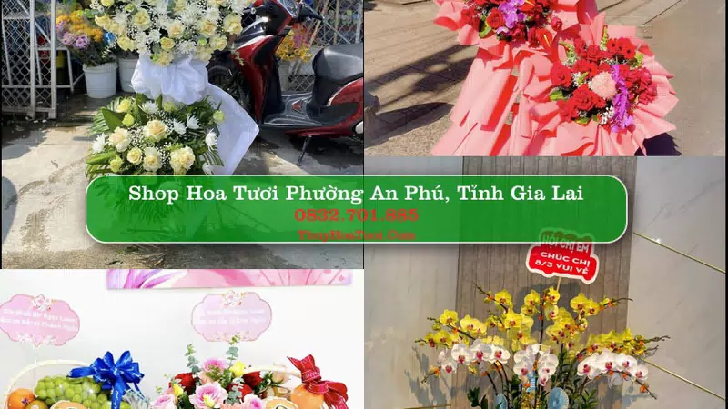 Shop Hoa Tươi Phường An Phú - Tỉnh Gia Lai