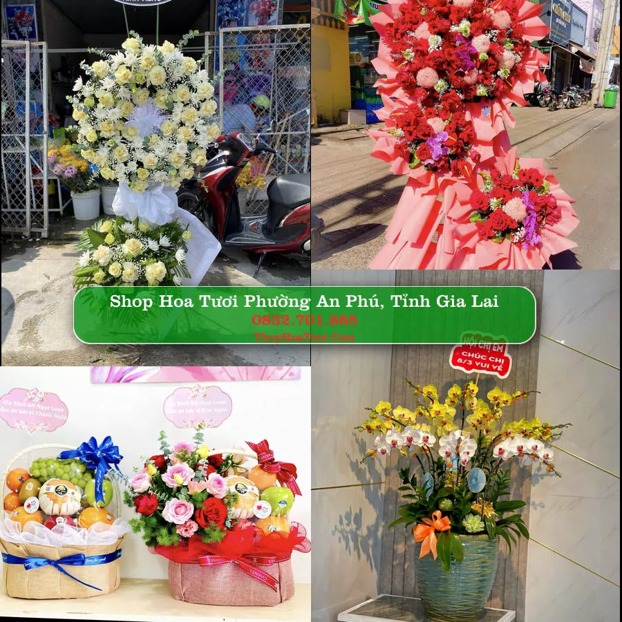 Shop Hoa Tươi Phường An Phú - Tỉnh Gia Lai