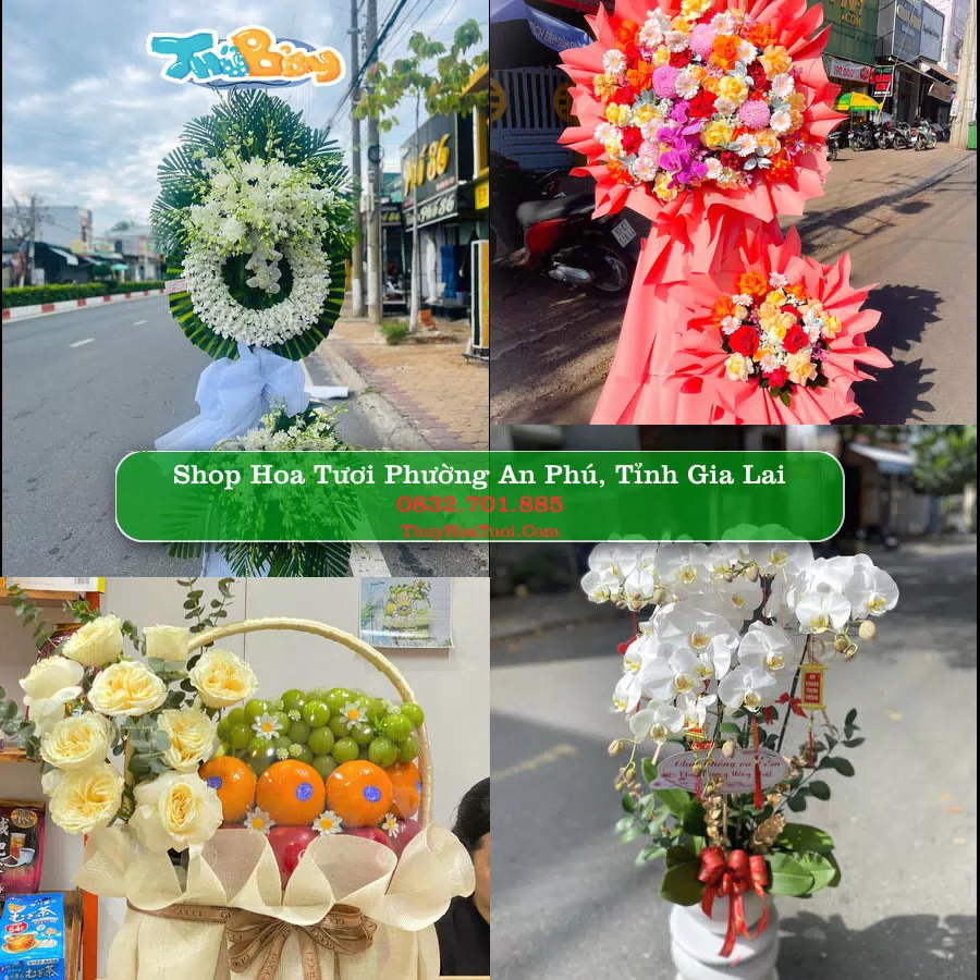 Shop hoa tươi Phường An Phú, Tỉnh Gia Lai - ThuyHoaTuoi.Com giao hoa tận nơi