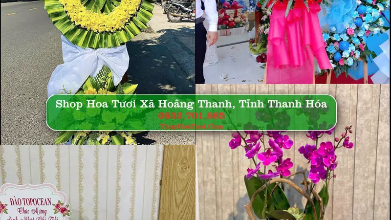 Shop Hoa Tươi Xã Hoằng Thanh - Tỉnh Thanh Hóa