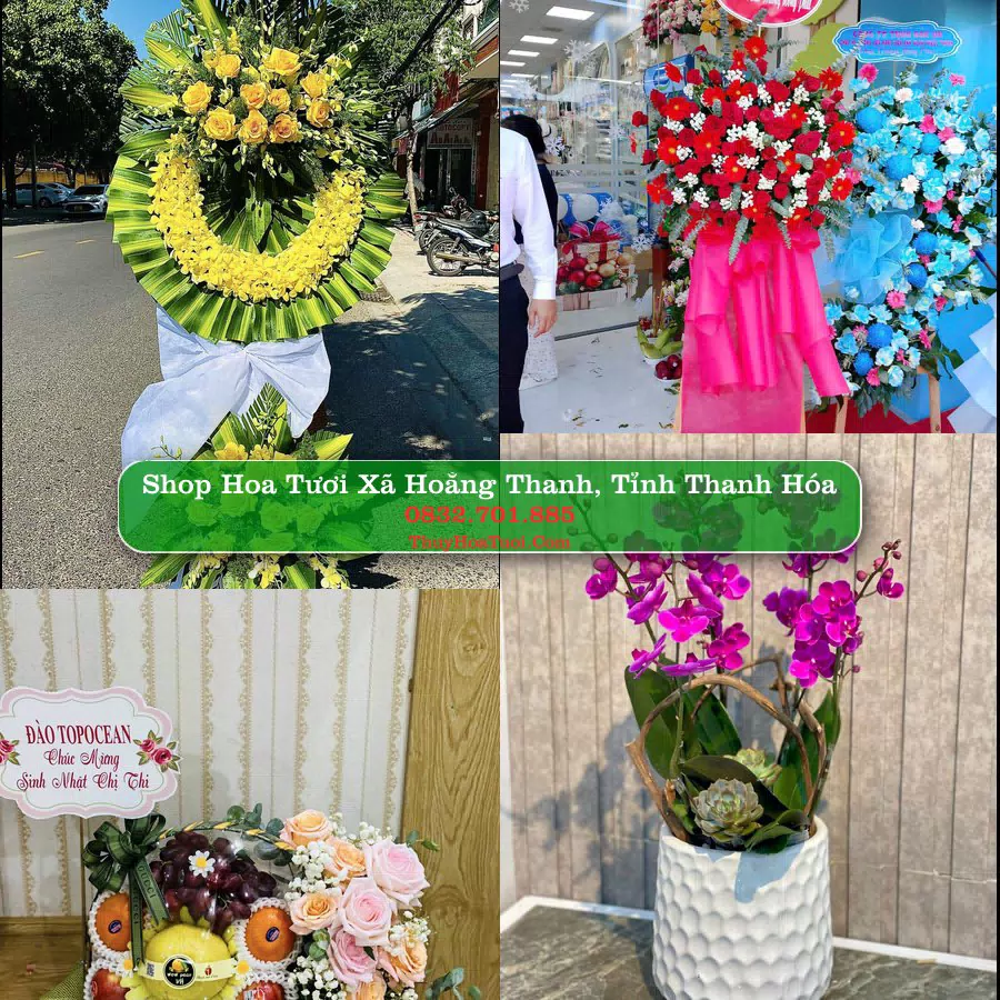 Shop Hoa Tươi Xã Hoằng Thanh - Tỉnh Thanh Hóa