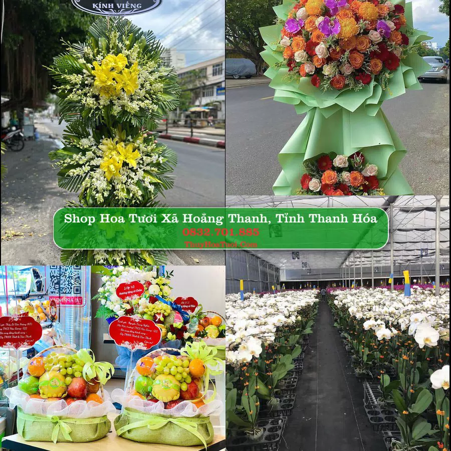 Shop hoa tươi Xã Hoằng Thanh, Tỉnh Thanh Hóa - ThuyHoaTuoi.Com giao hoa tận nơi