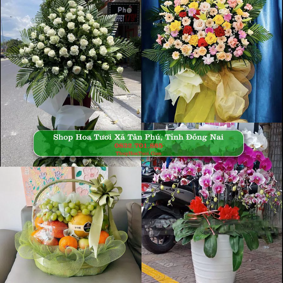 Shop Hoa Tươi Xã Tân Phú - Tỉnh Đồng Nai