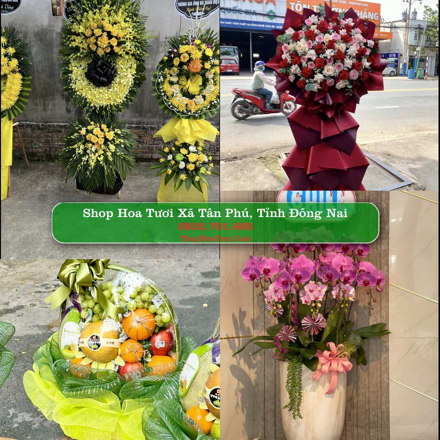 Shop hoa tươi Xã Tân Phú, Tỉnh Đồng Nai - ThuyHoaTuoi.Com giao hoa tận nơi