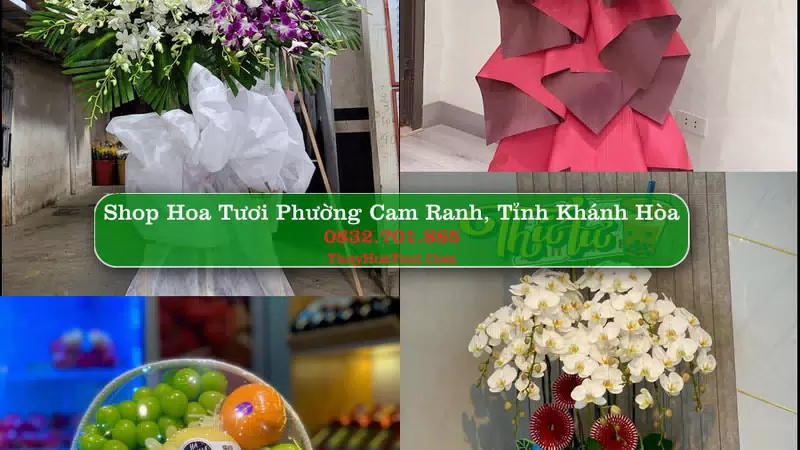 Shop Hoa Tươi Phường Cam Ranh - Tỉnh Khánh Hòa
