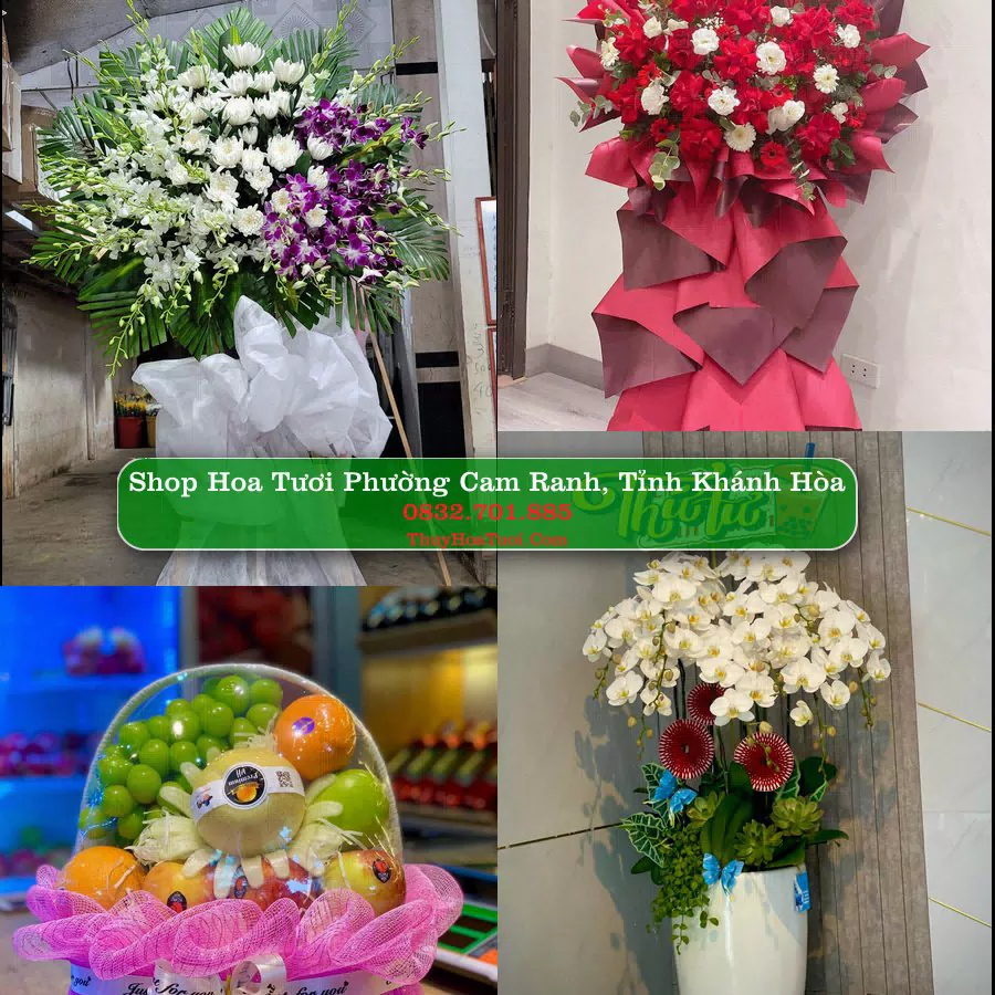 Shop Hoa Tươi Phường Cam Ranh - Tỉnh Khánh Hòa
