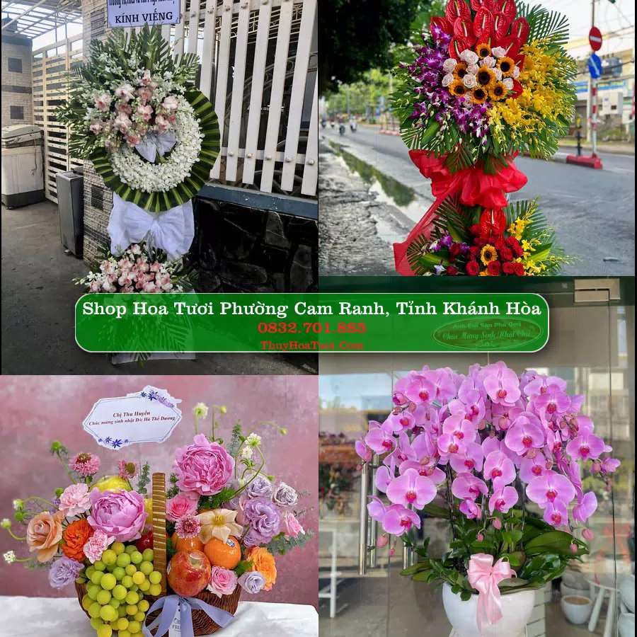 Shop hoa tươi Phường Cam Ranh, Tỉnh Khánh Hòa - ThuyHoaTuoi.Com giao hoa tận nơi