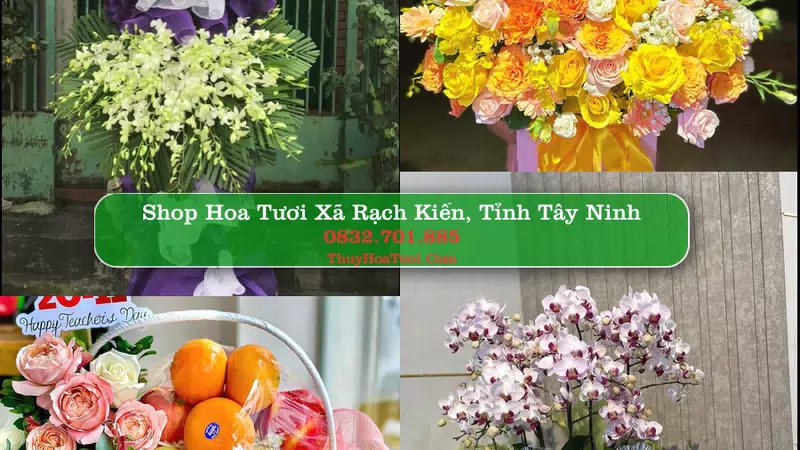 Shop Hoa Tươi Xã Rạch Kiến - Tỉnh Tây Ninh
