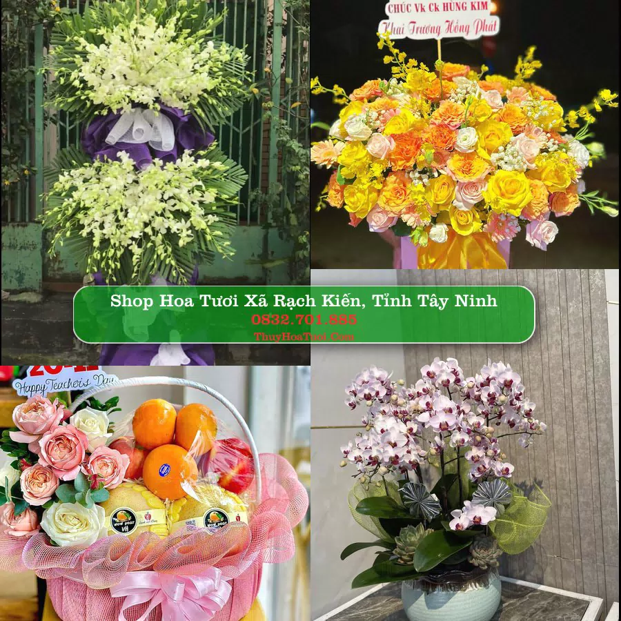 Shop Hoa Tươi Xã Rạch Kiến - Tỉnh Tây Ninh