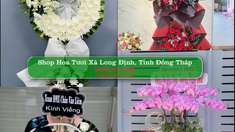 Shop Hoa Tươi Xã Long Định - Tỉnh Đồng Tháp