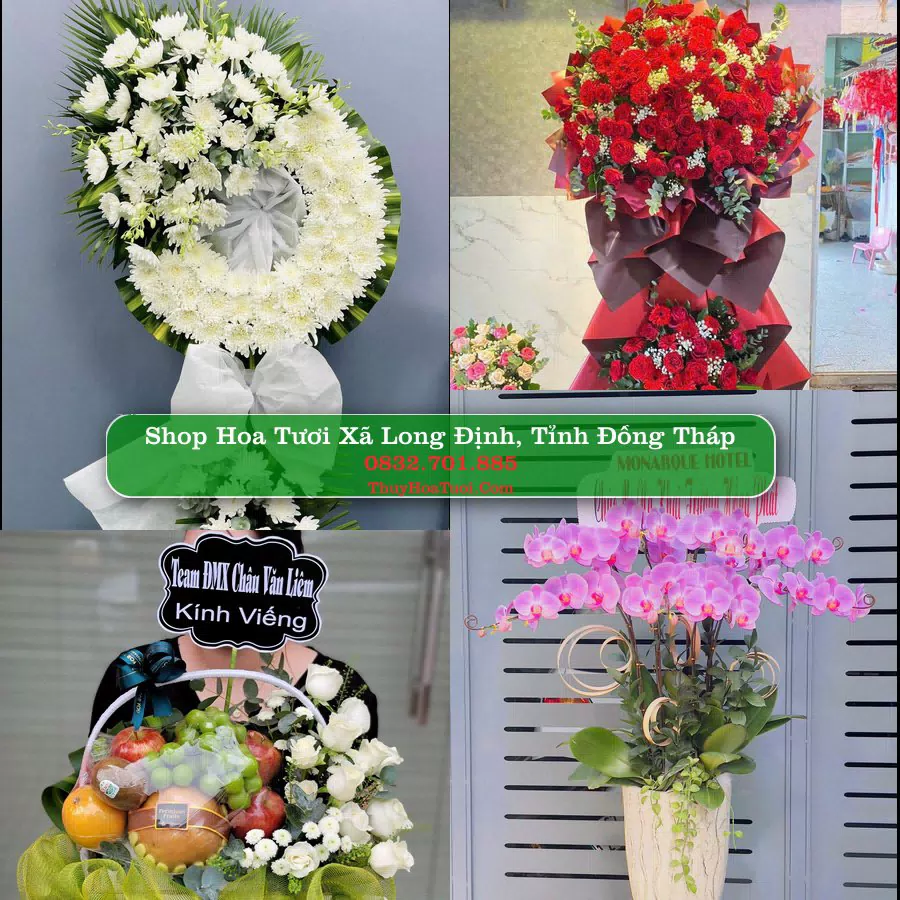 Shop Hoa Tươi Xã Long Định - Tỉnh Đồng Tháp