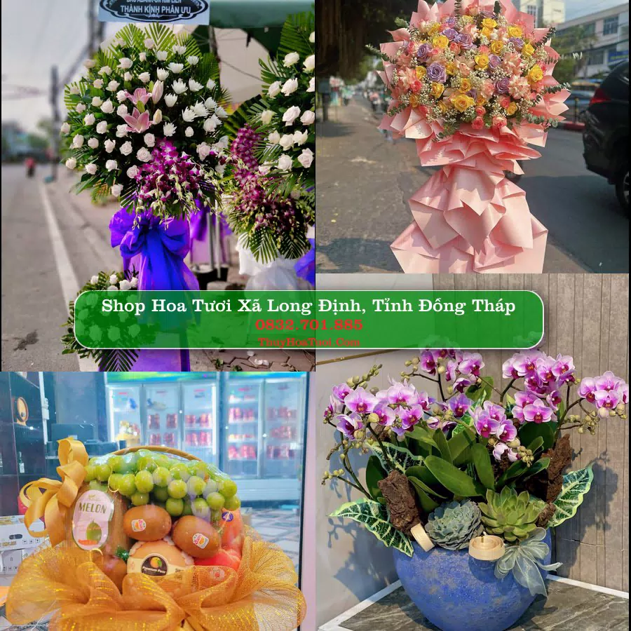 Shop hoa tươi Xã Long Định, Tỉnh Đồng Tháp - ThuyHoaTuoi.Com giao hoa tận nơi