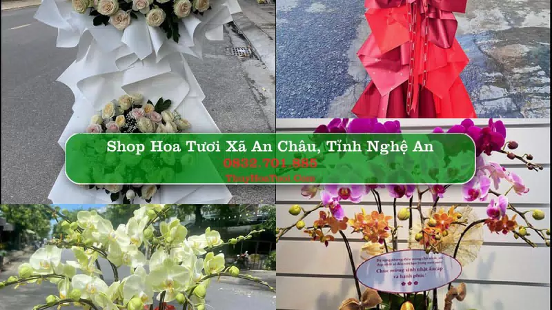 Shop Hoa Tươi Xã An Châu - Tỉnh Nghệ An