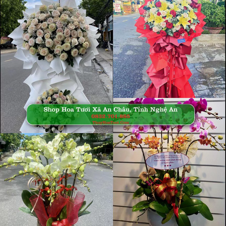 Shop Hoa Tươi Xã An Châu - Tỉnh Nghệ An