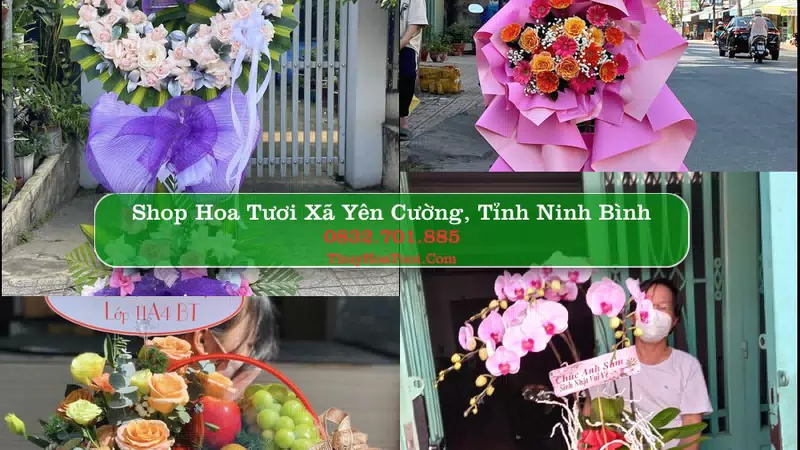 Shop Hoa Tươi Xã Yên Cường - Tỉnh Ninh Bình
