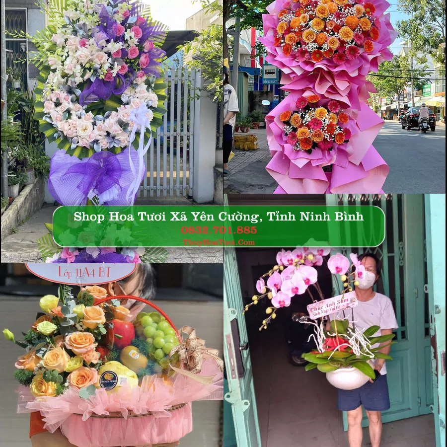 Shop Hoa Tươi Xã Yên Cường - Tỉnh Ninh Bình