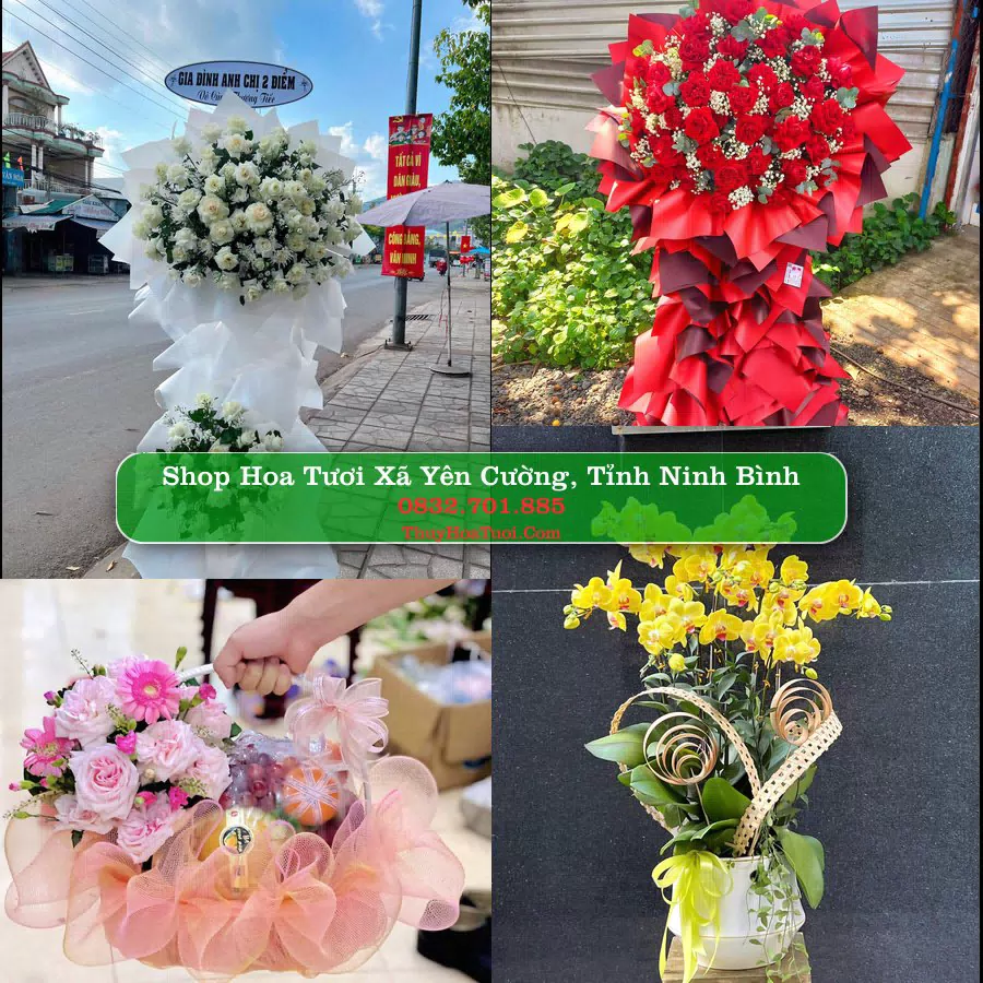 Shop hoa tươi Xã Yên Cường, Tỉnh Ninh Bình - ThuyHoaTuoi.Com giao hoa tận nơi