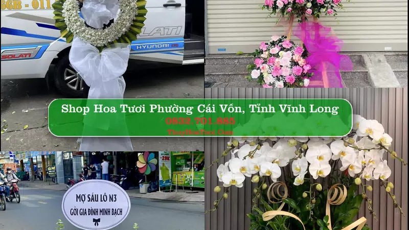 Shop Hoa Tươi Phường Cái Vồn - Tỉnh Vĩnh Long