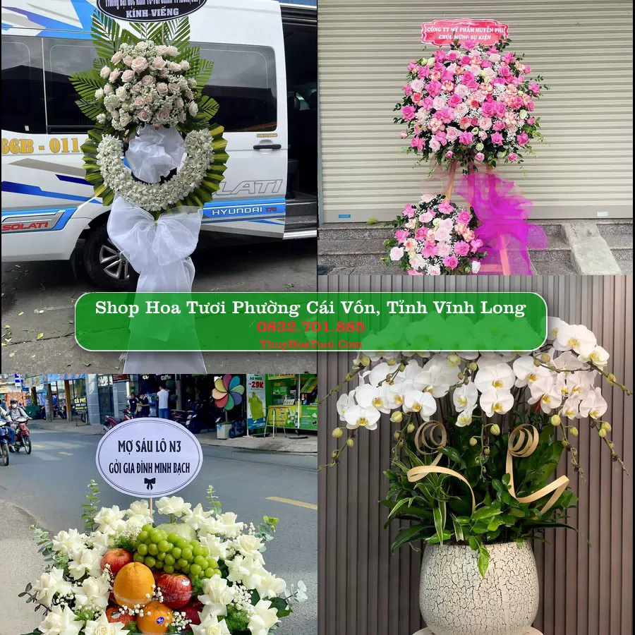 Shop Hoa Tươi Phường Cái Vồn - Tỉnh Vĩnh Long