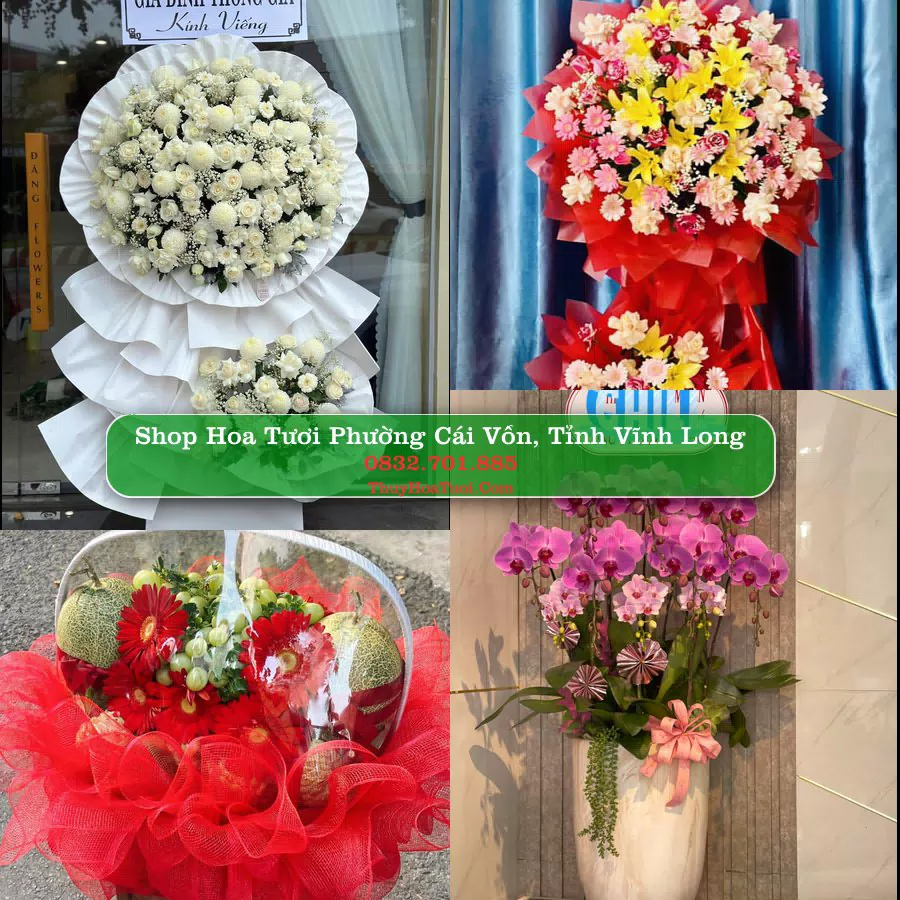 Shop hoa tươi Phường Cái Vồn, Tỉnh Vĩnh Long - ThuyHoaTuoi.Com giao hoa tận nơi
