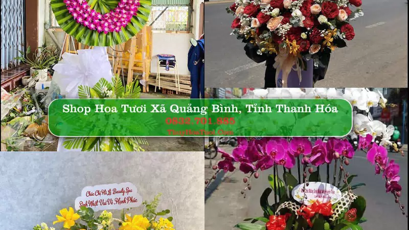 Shop Hoa Tươi Xã Quảng Bình - Tỉnh Thanh Hóa