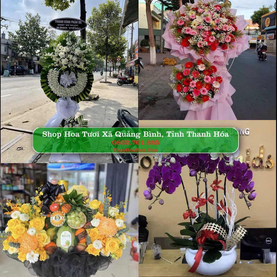 Shop hoa tươi Xã Quảng Bình, Tỉnh Thanh Hóa - ThuyHoaTuoi.Com giao hoa tận nơi
