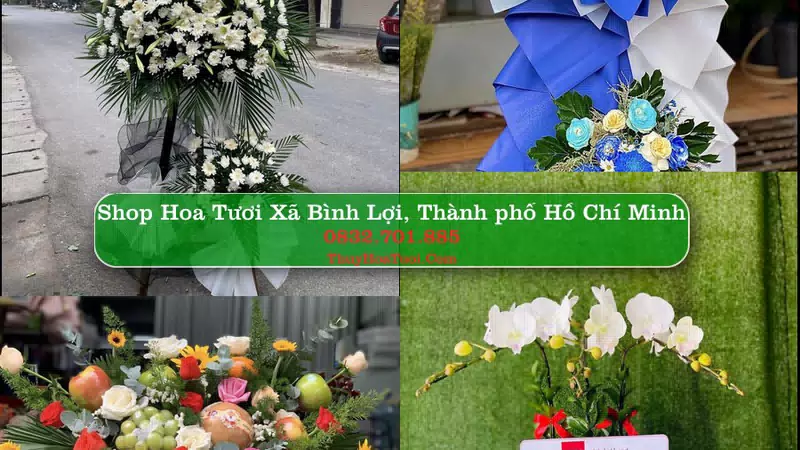 Shop Hoa Tươi Xã Bình Lợi - Thành phố Hồ Chí Minh