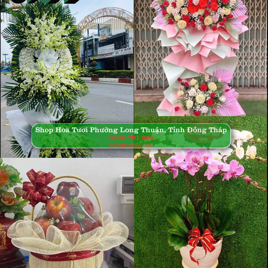 Shop Hoa Tươi Phường Long Thuận - Tỉnh Đồng Tháp