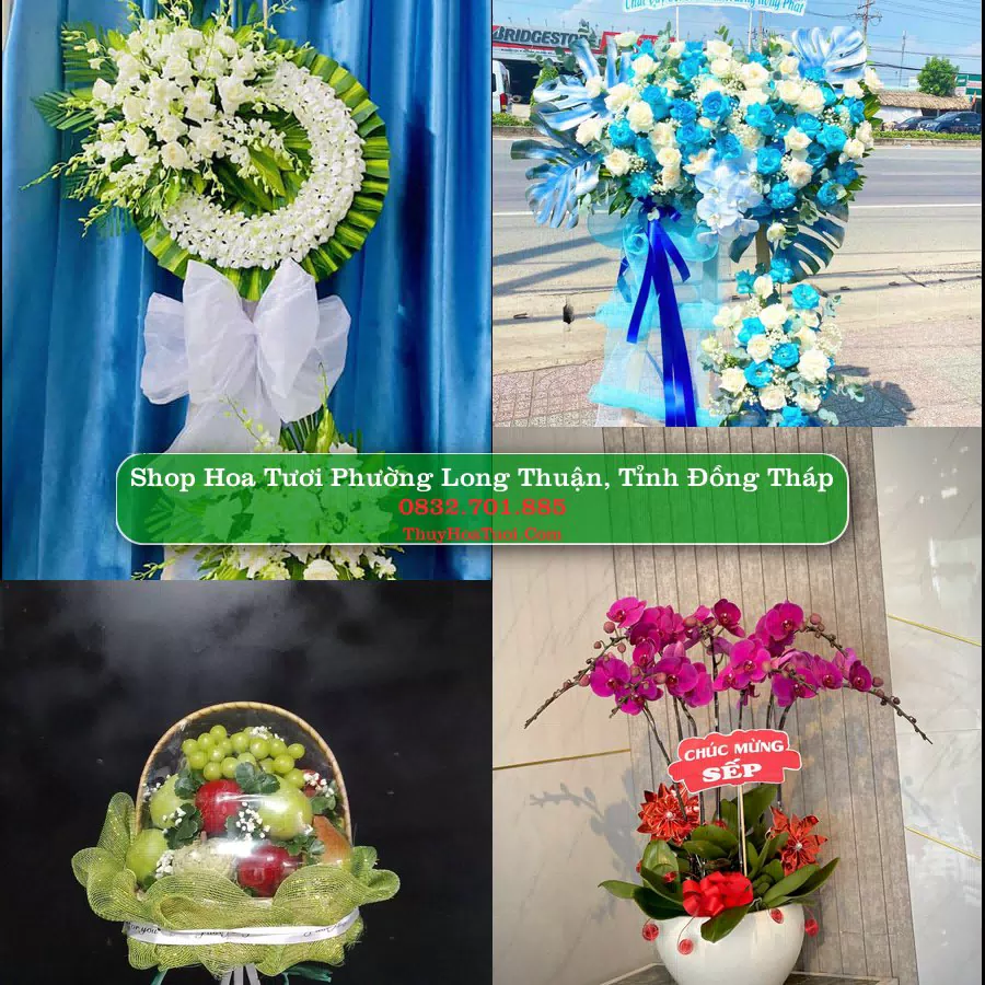 Shop hoa tươi Phường Long Thuận, Tỉnh Đồng Tháp - ThuyHoaTuoi.Com giao hoa tận nơi