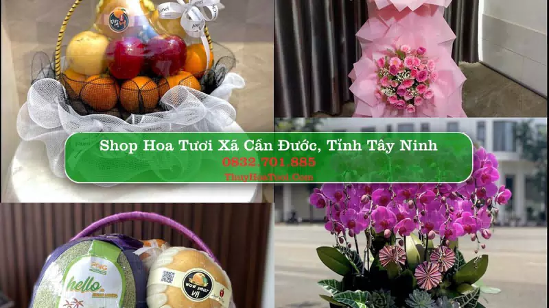 Shop Hoa Tươi Xã Cần Đước - Tỉnh Tây Ninh