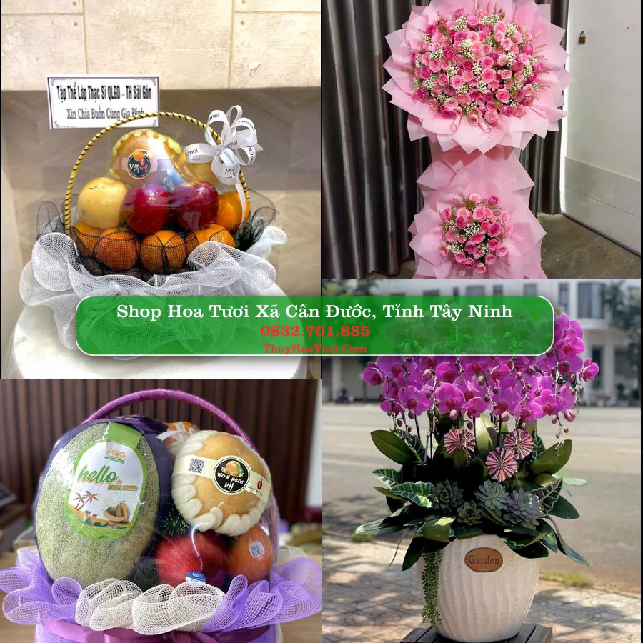Shop Hoa Tươi Xã Cần Đước - Tỉnh Tây Ninh