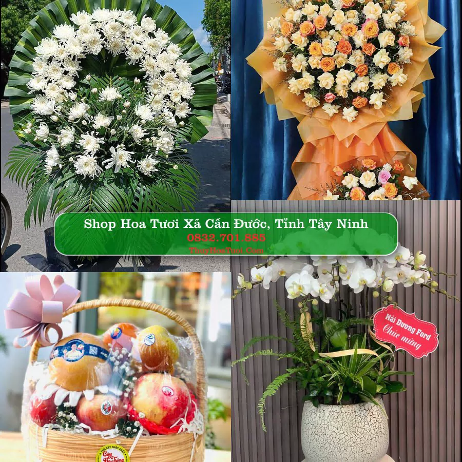 Shop hoa tươi Xã Cần Đước, Tỉnh Tây Ninh - ThuyHoaTuoi.Com giao hoa tận nơi