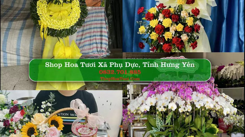 Shop Hoa Tươi Xã Phụ Dực - Tỉnh Hưng Yên