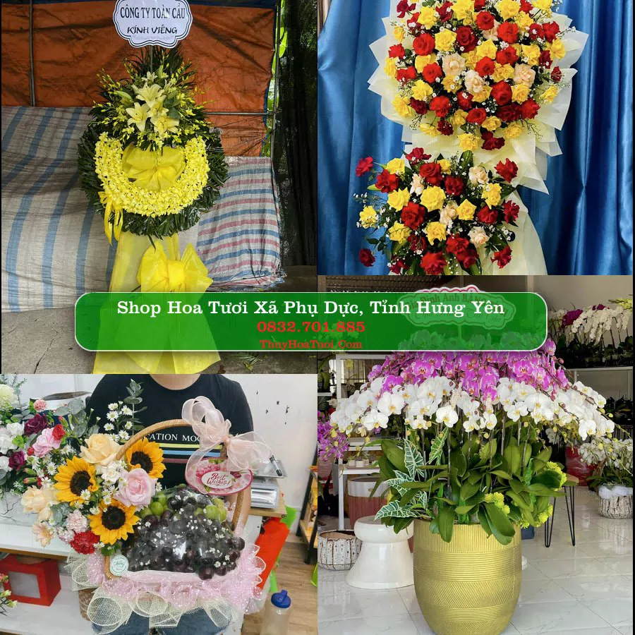 Shop Hoa Tươi Xã Phụ Dực - Tỉnh Hưng Yên