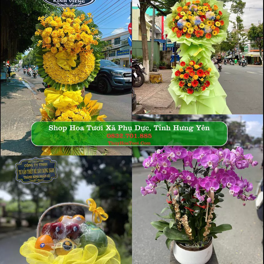 Shop hoa tươi Xã Phụ Dực, Tỉnh Hưng Yên - ThuyHoaTuoi.Com giao hoa tận nơi