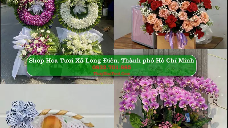 Shop Hoa Tươi Xã Long Điền - Thành phố Hồ Chí Minh