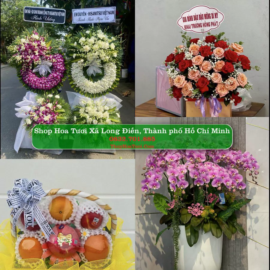 Shop Hoa Tươi Xã Long Điền - Thành phố Hồ Chí Minh