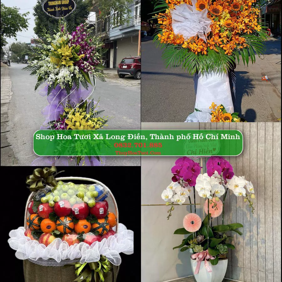 Shop hoa tươi Xã Long Điền, Thành phố Hồ Chí Minh - ThuyHoaTuoi.Com giao hoa tận nơi