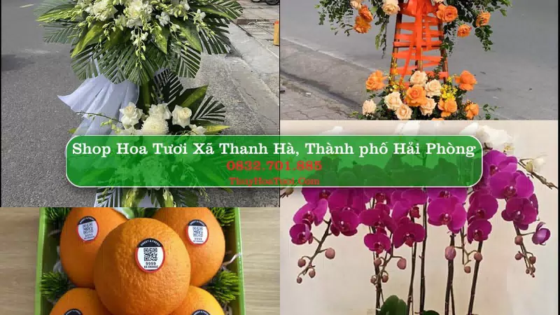 Shop Hoa Tươi Xã Thanh Hà - Thành phố Hải Phòng