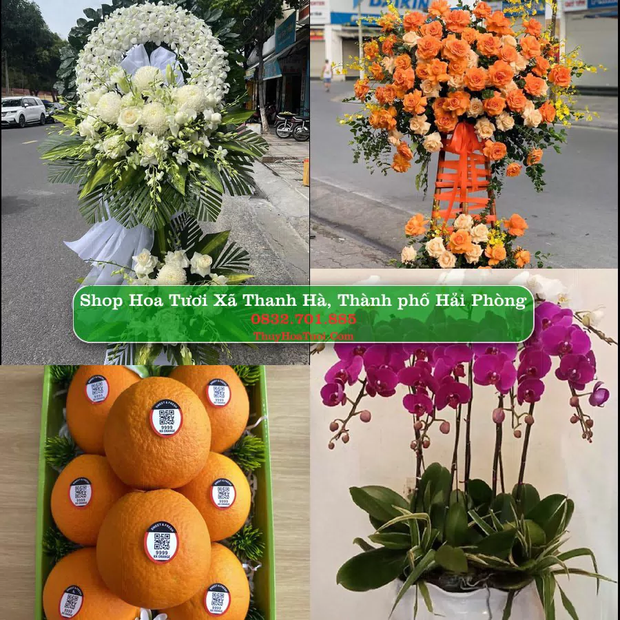 Shop Hoa Tươi Xã Thanh Hà - Thành phố Hải Phòng